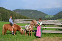 Mesnerhof Avelengo