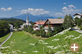 Der Bauernhof Mesnerhof in Hafling