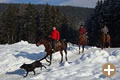 Winterausflug in die verschneite Haflinger Landschaft